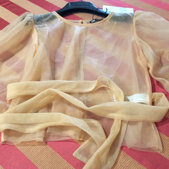 Zara See through puff sleeve nylon top with tie - Picture 6 of 9